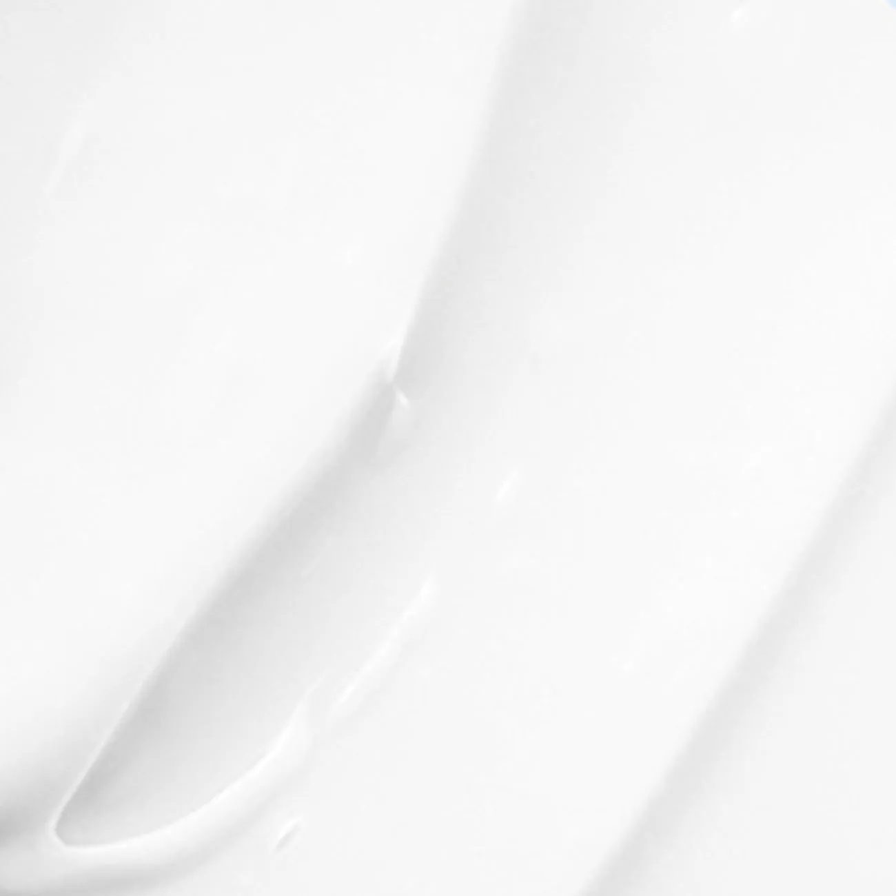 Key Ingredients — Ceramides